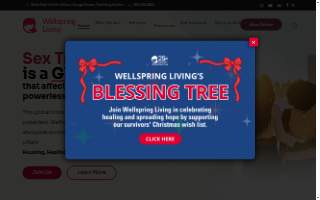 WellSpring Financial website
