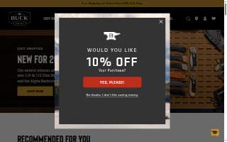 Buck's Auto Care website
