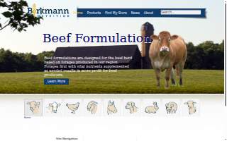 Burkman Electric website