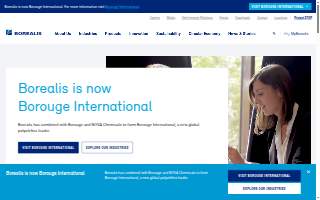 Borealis Veterinary Clinic website