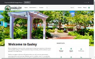 Easley Insurance Agency website