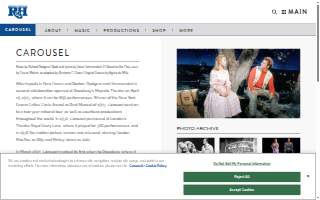 Carousel Salon and Executive Tan website