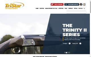TriStar Tax and Business Solutions Germantown website