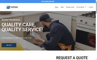 Plumber True Services of Irving website