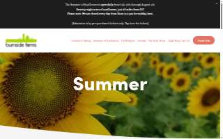 Burnside Air Conditioning, Heating & Plumbing website