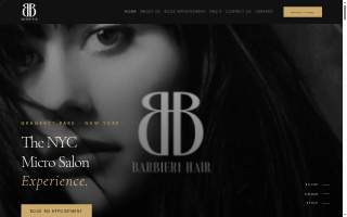 Barbieri Law Firm website