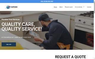 Plumber True Services of Mesquite website