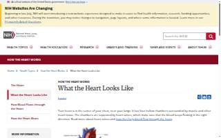 Heart of Florida Insurance Group website
