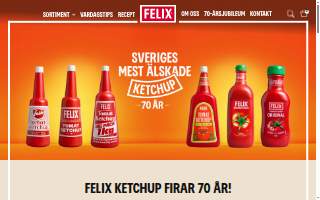 Felix Construction Company website