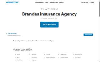 Brandes Insurance Agency website