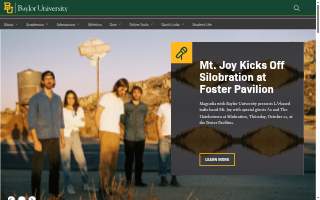 Baylor Family Law website
