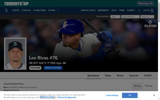 Rivas Law Firm, PLLC website