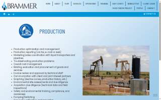 Brammer Begnaud & Lattimore, CPA's website