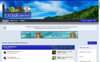 The Parrot's Head Tavern website