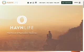 HAVN Construction website