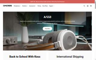 Koss Carol H CPA website