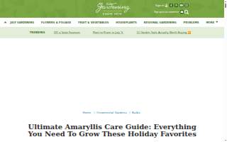 Amaryllis Law website