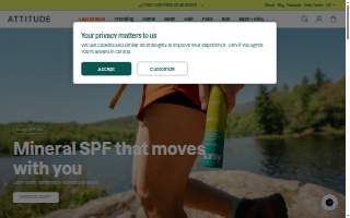 Attitude Salon website