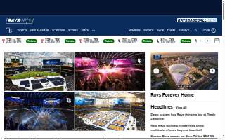 RAYS AUTO SERVICE website