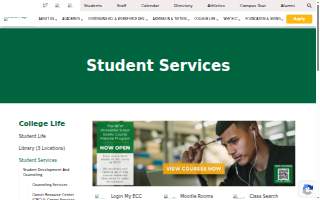 Essex Electric website