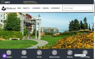 Redmond Cleaning Co. website