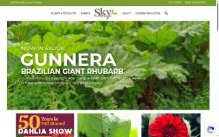 Sky Nursery website