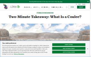 Coulee Current Electric website