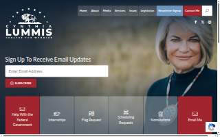 Lummis Law Office, LLC website