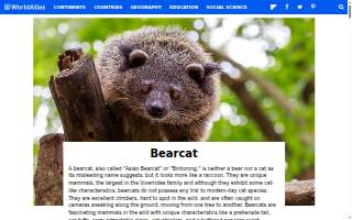 Bearcat Lawn and Landscape website