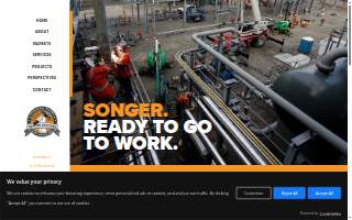 Songer Mark A DDS website