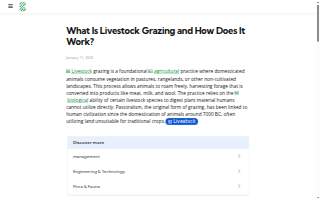 The Grazing Goat Charcuterie website