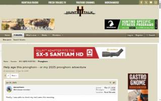 Pronghorn Family Dentistry website