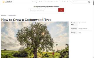 Cottonwood Creek Clinic website