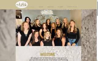 Statik Salon website