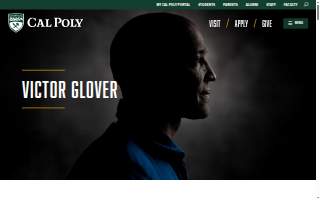 Glover Court Solutions & Estate Planning website
