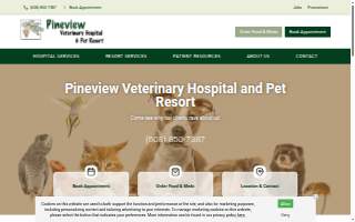 Pineview Family Dental website