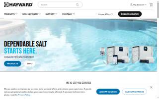 Hayward Auto Care website