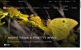 Auburn Primary Care website