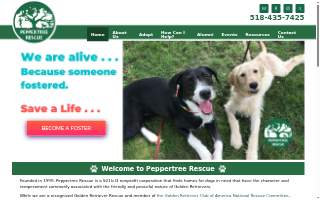 Peppertree Automotive website