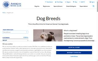 Dog Grooming USA | Dog Grooming website