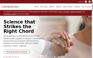 Caba Contractors Inc website