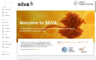 Silva Agency website