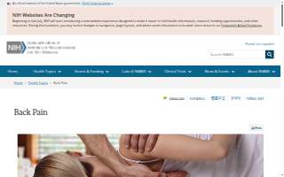 Back In Motion Physical Therapy & Performance - Estero website