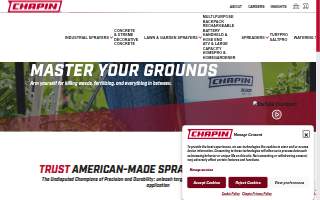 Chapin Business Services website
