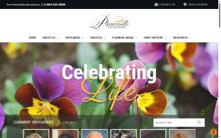 Plantsville Family Dental website