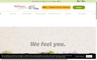 Wellmore | Child & Adolescent Behavioral Health Services website