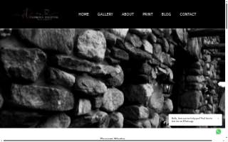Vanessa Trettel Photography website