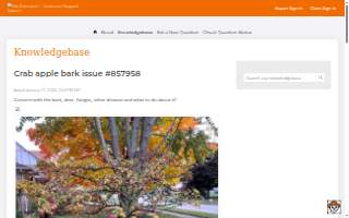 Bark & Meow Pet Sitting website