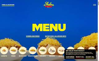 Skyline Painting website