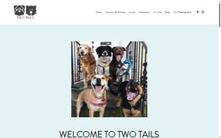 Two Tails DC website